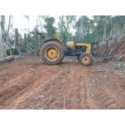 Trator Valmite 65 id  Com 4 pneus novos  Com berço florestal Revisado único dono  Pronto para trabalhar  Ano 80  Valor 70 mil